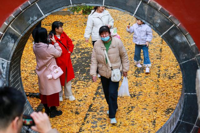 泰山普照寺，那最后的一树金黄