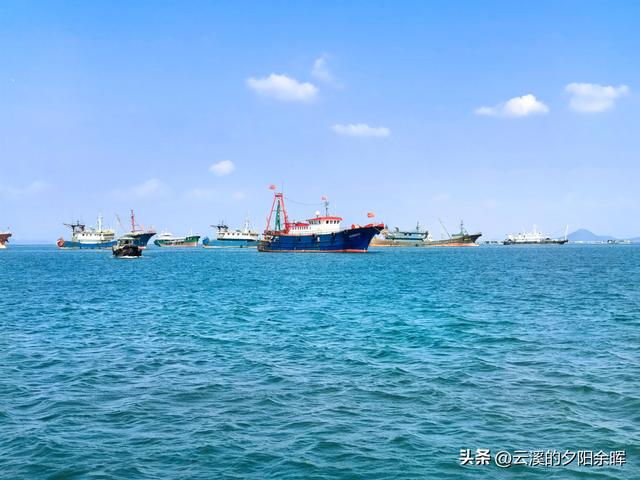 广东阳江海陵岛“渔家乐	”体验，章鱼独当一面