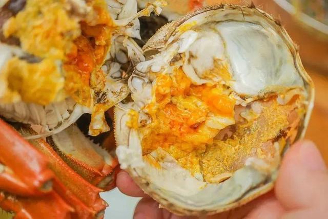 济南出发高铁0.5小时直达！沿着黄河，遇见齐河！