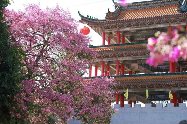 欢聚一堂，共庆生辰！东莞观音山建园26周年庆典隆重举行