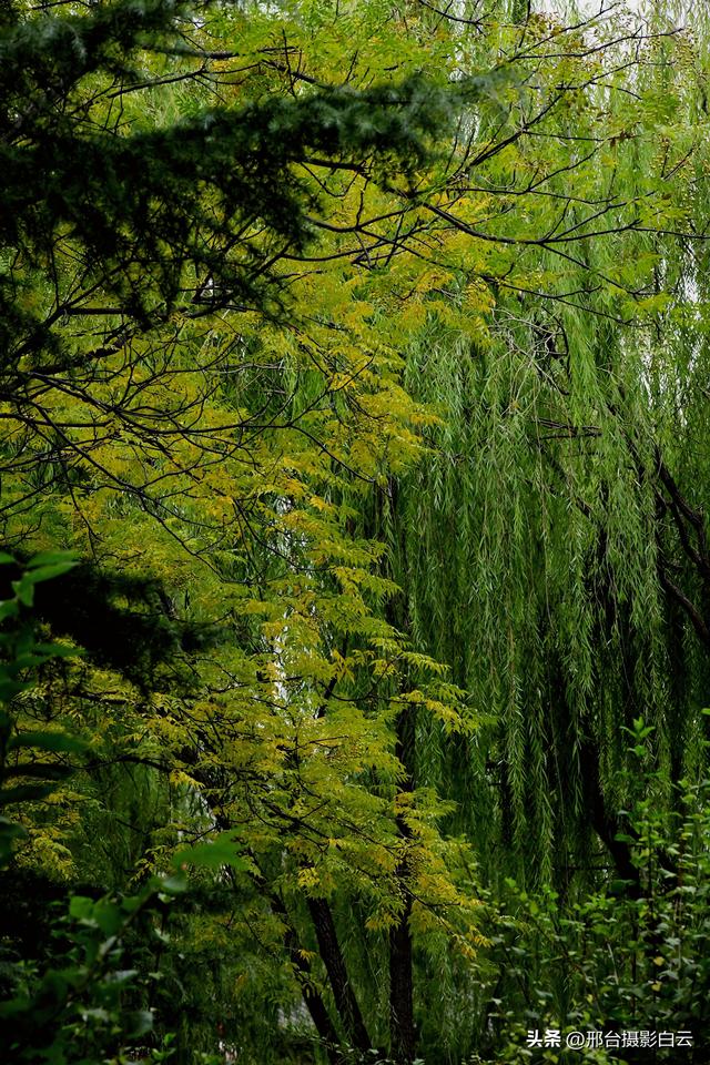 达活泉公园最美秋色（图）