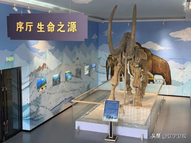 是时候重新认识一下阜新了,被低估的辽宁真·宝藏小城......辽宁卫视 辽宁卫视