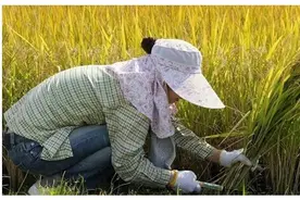 谁在暗中帮你，快来对号入座吧图片