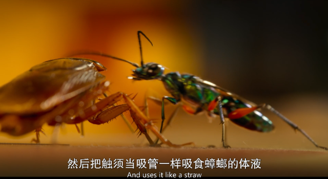 内娱男星讲荤段子，居然拿下豆瓣8.9