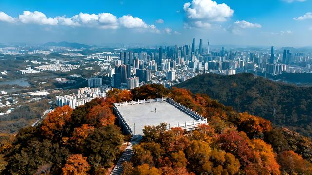 绯云坠野丹枫岫，金浪翻空粤韵稠 —— 羊城秋行揽胜记