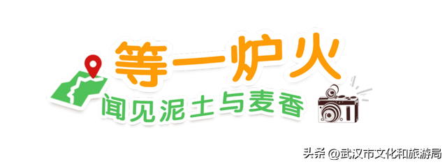 赶紧收藏！森林公园3大玩法新鲜出炉