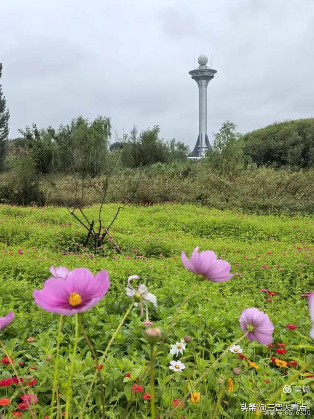 秋雨绵绵漳泽湖
