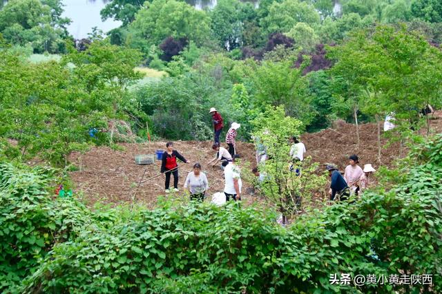 99%陕西人没听过的秦岭小山，海拔只有太白山1/4，却被写入史书！