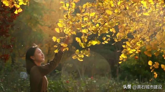 限时绝美！黄石街头颜值巅峰 周末来打卡