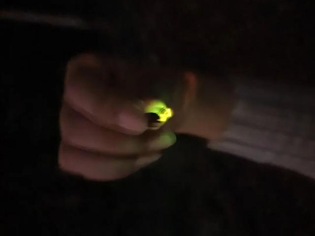 10月，「需要另一个同类」