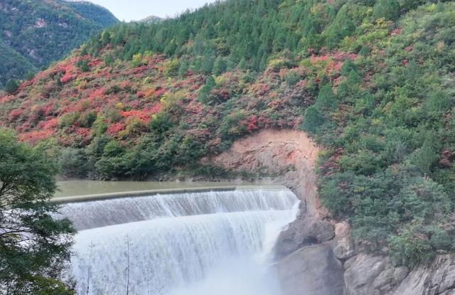 不到西坡，怎知秋色如许？