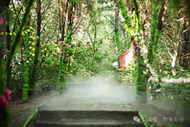 【景阳冈奇遇】这个夏天，闯入现实版童话秘境！
