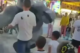 摊上事了! 陕西男子暴力踹飞大猩猩后续: 扮演者发声，男子恐担刑责图片