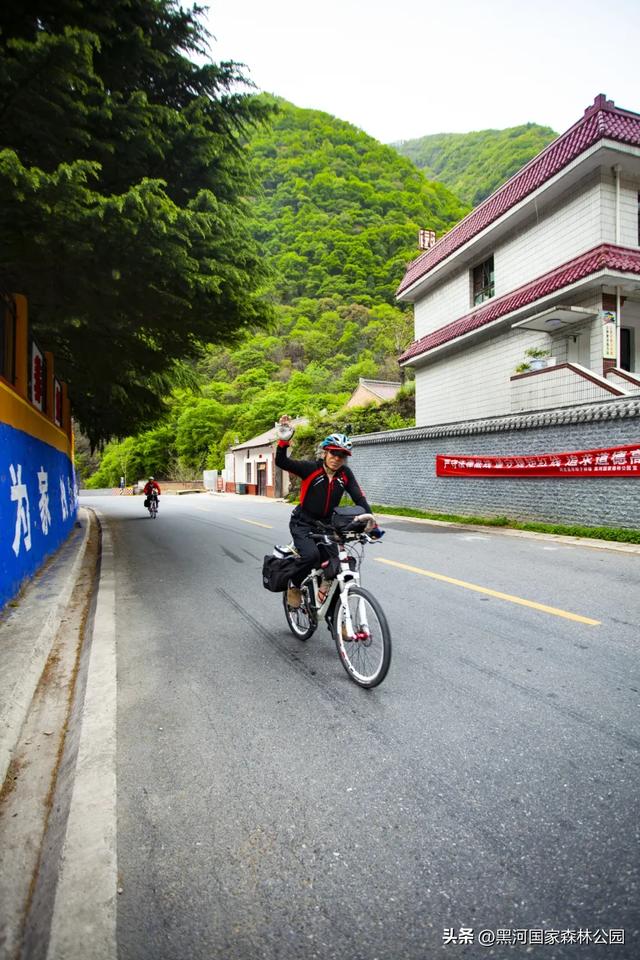 周末避暑好去处|走进绿意森呼吸,邂逅山间清凉
