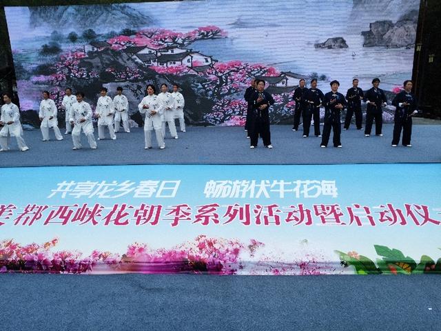 共赴龙乡春日 醉游伏牛花海 2026美鄀西峡花朝季盛大启幕