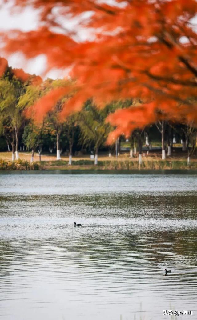 久等了！红透啦！