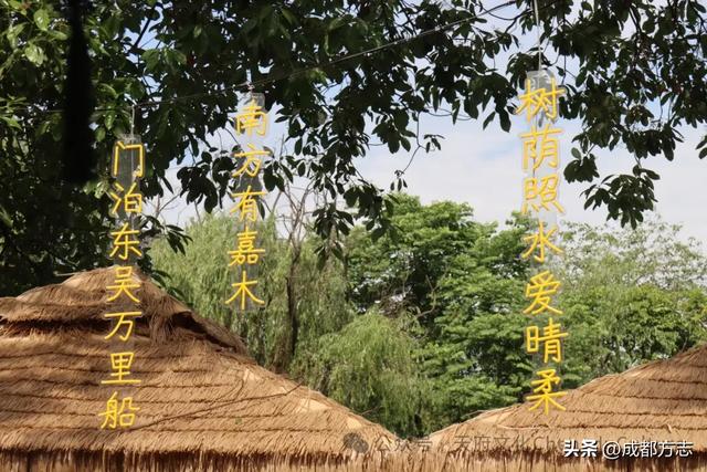 就在绕城内！成都还有个600年的“古镇”→