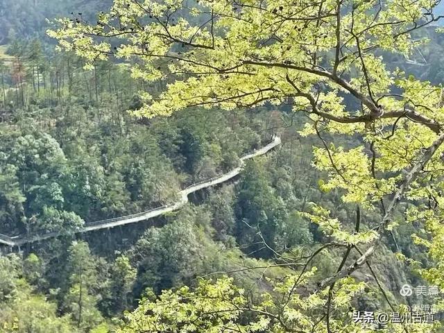 藏于浙江5A景区内有一处“十里铁甲龙”，洞穴众多形态奇特