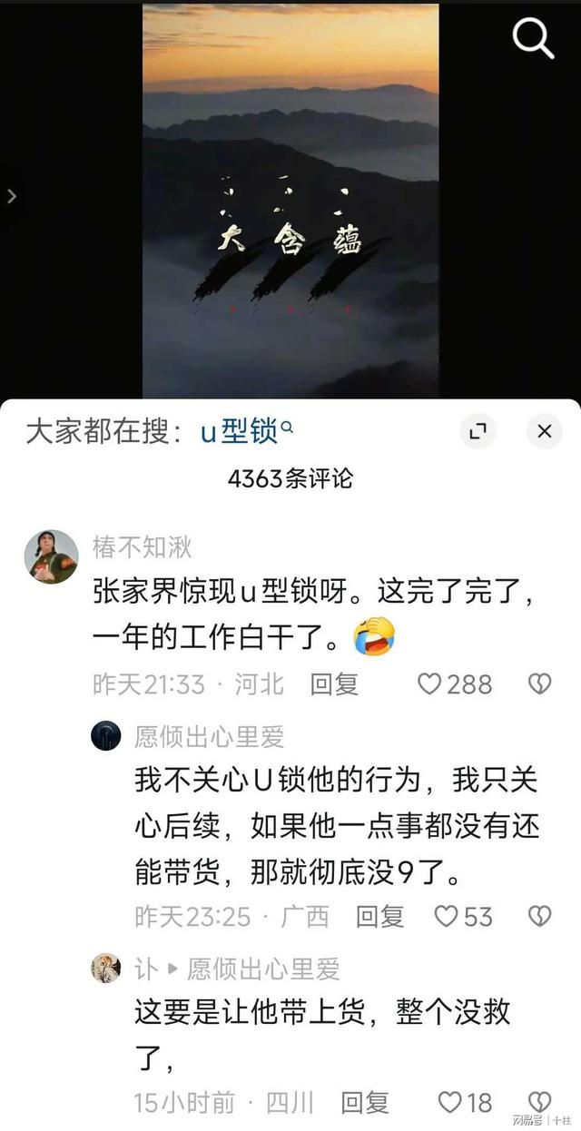 张家界拦阻韩国国旗事件，到底是怎么回事？