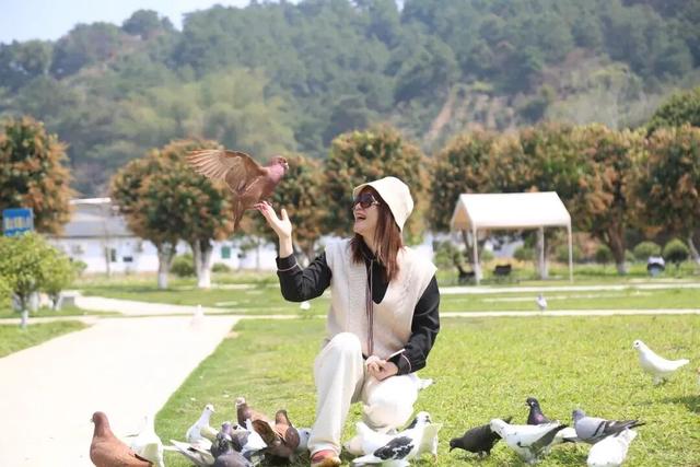 格桑花、紫花风铃木、雪白油茶花……肇庆这里太美了！