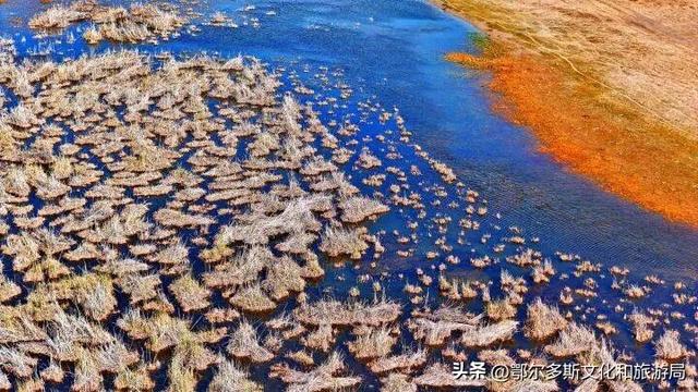 内蒙古杭锦旗：湿地秋景惹人醉
