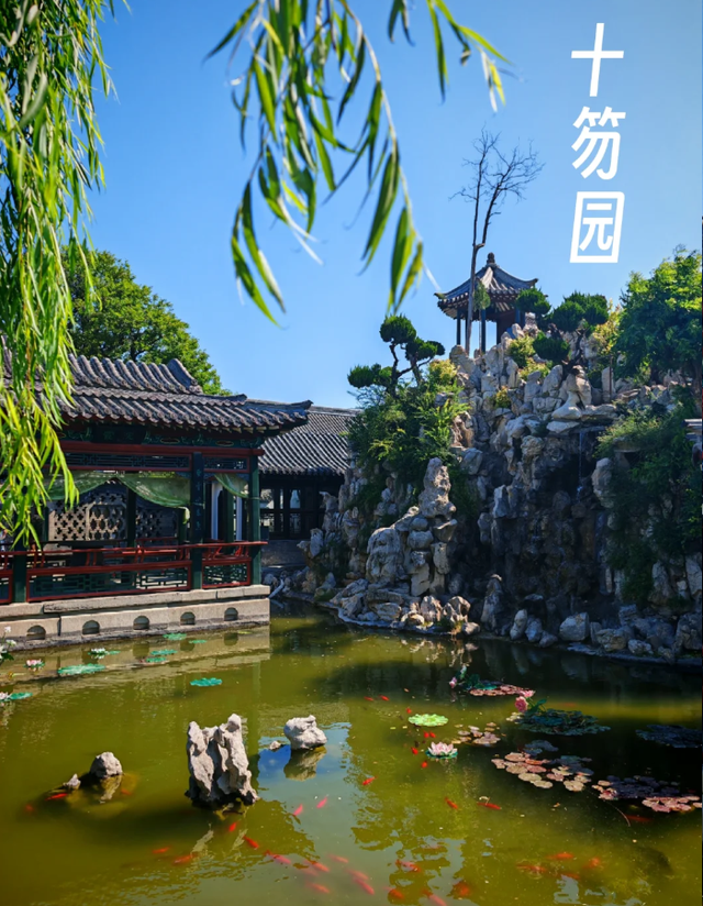 去了趟山东潍坊，真心建议：不要随便去山东潍坊，除非你知道这些