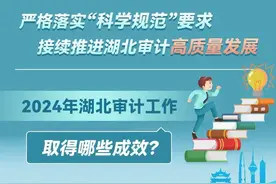 2025年，湖北审计工作这样干！图片