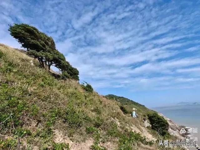 尽享无尽野趣!来浙里,开启一场跨越山与海的秘境徒步之旅!
