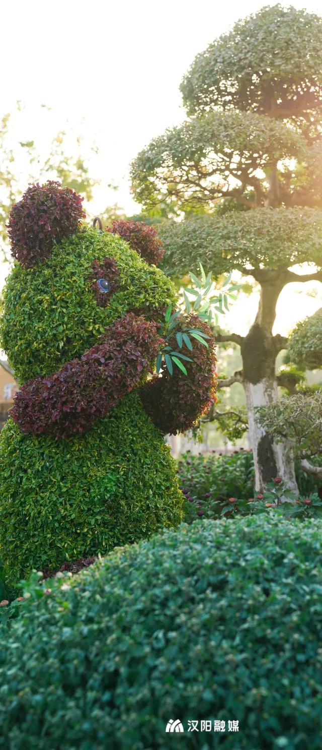 正式开幕,即将爆火一个月!