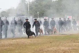 一等奖！来宾公安在广西山地犬搜捕专项比赛中脱颖而出图片