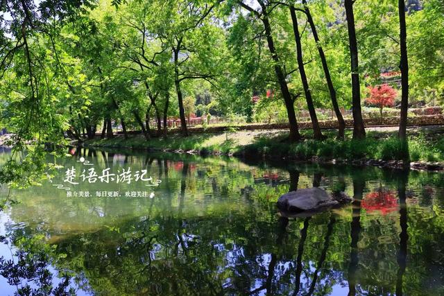 宁波余姚的最美网红村，经典风光之中有新景，到处是拍照打卡胜地