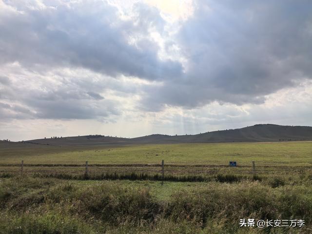 北上大草原第5站：内蒙古乌兰布统