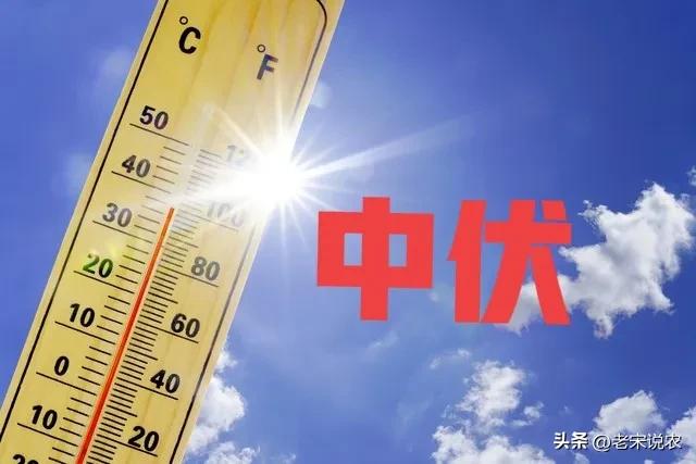 台风竹节草拐弯跑偏,新一轮强降雨中心已定,大雨暴雨分布如下