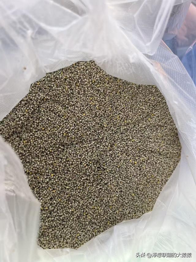 石斑鸠村	，一座大山深处有着古老历史和众多红色革命故事的小山村