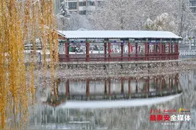 雪后泰安龙泽湖公园 冬日“氛围感”拉满图片