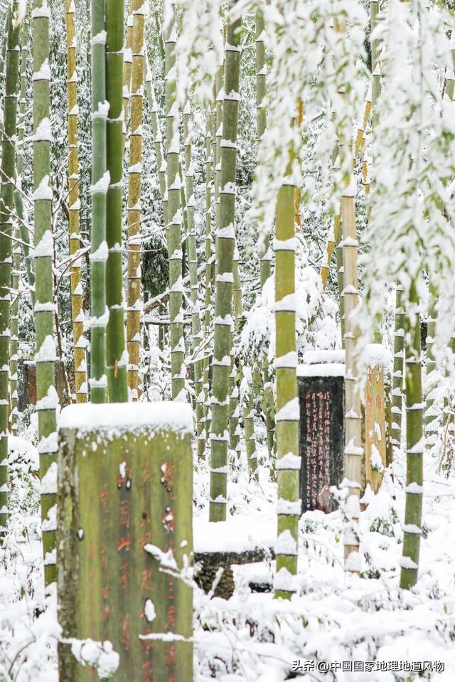 桃源深处、武陵主峰，梵净山何以跻身世界遗产？