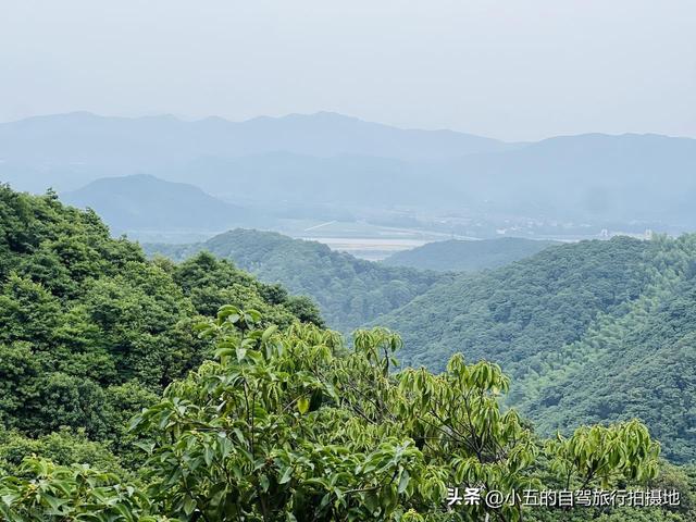 绍兴 11 月赏秋攻略｜6 处绝美秋景地，承包江南的红枫金稻与红柿