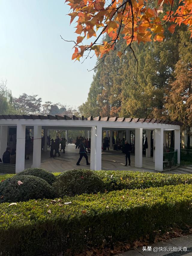 我一上午去了两个公园，