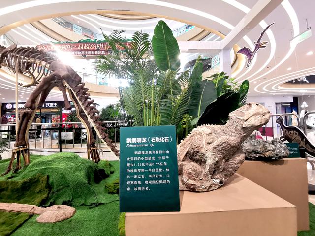南通 国庆假日趣味十足的文化新体验