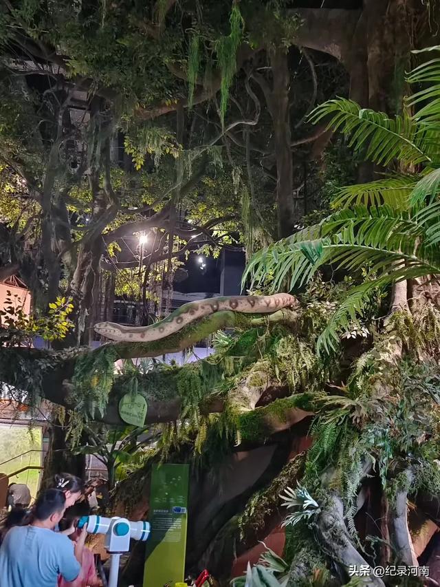 🖤打卡河南科技馆-好多体验设备都是坏的，赶快维修维护起来吧