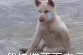 为什么中日韩都过得这么累？图片