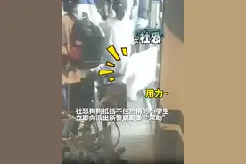 涉恐萨摩耶被热情小学生围住，情急之下躲进了派出所图片