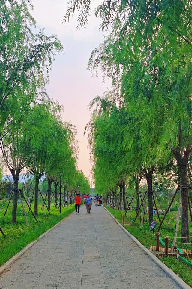 又挖到宝啦！济南东部这个大型公园免费开放！这波清凉打卡地必须冲～