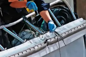 强词夺理！海巡证据迟迟不公布上升政治操作，引火烧身还想要信任图片