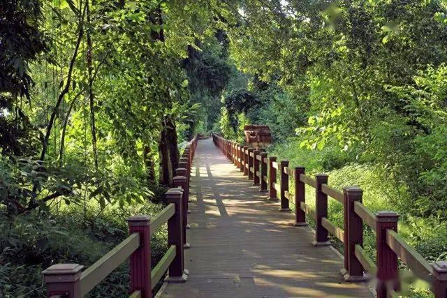 携台湾亲朋自驾游滇西南之十一