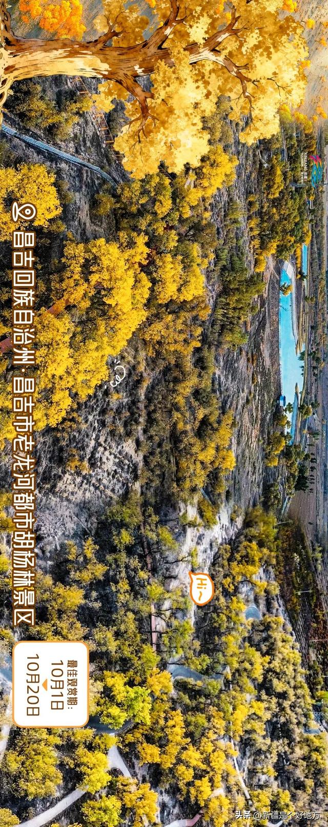 新疆赏胡杨最全攻略