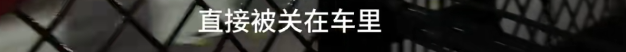 中国小伙勇闯孟加，刚下机场直接崩溃，落地第一件事就是“坐牢”