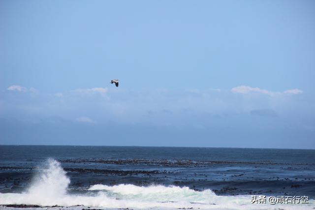 南部非洲：南非好旺角
