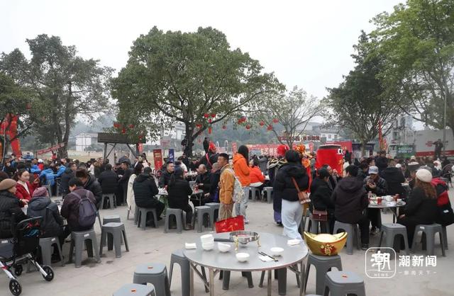 “摇人按猪”女孩呆呆走红后：有人凌晨4点赶去；收费后当地一农庄就餐人数从600桌骤降至30桌