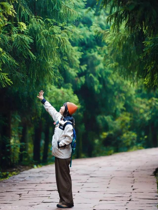 去邛崃！赴一场暖阳与山间的私语